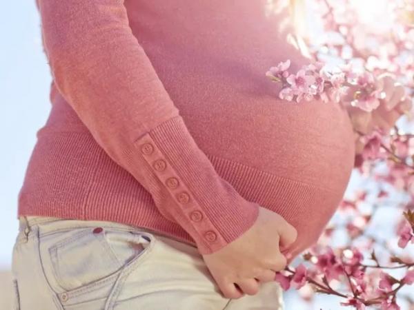 Двойняшки беременность: причины, признаки, роды и протекание беременности Причины возникновения многоплодной беременности